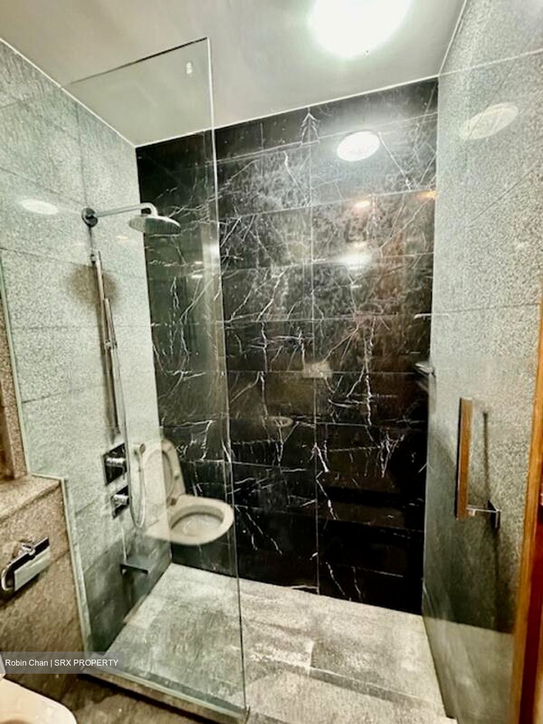 SeaHill (D5), Condominium #459244501